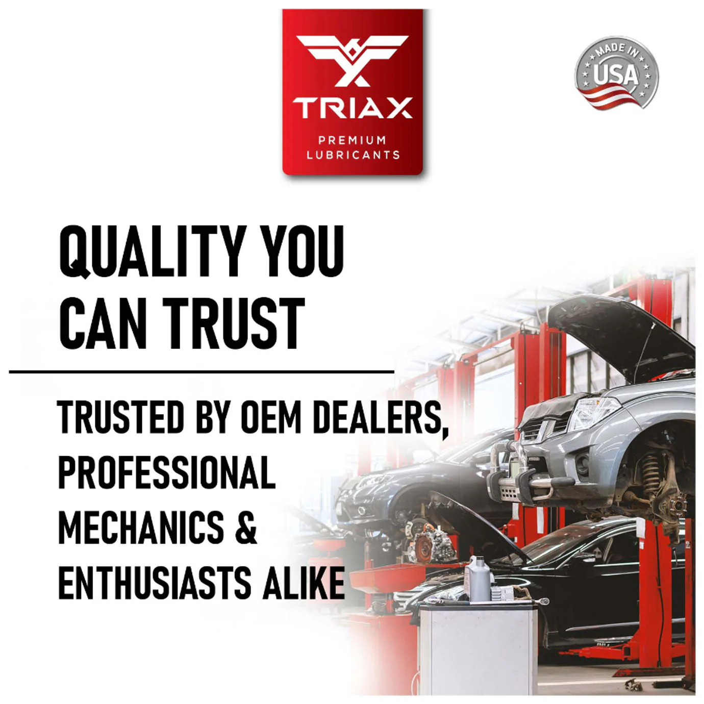 TRIAX DTF-2 Professional 75W-85 - Image 11